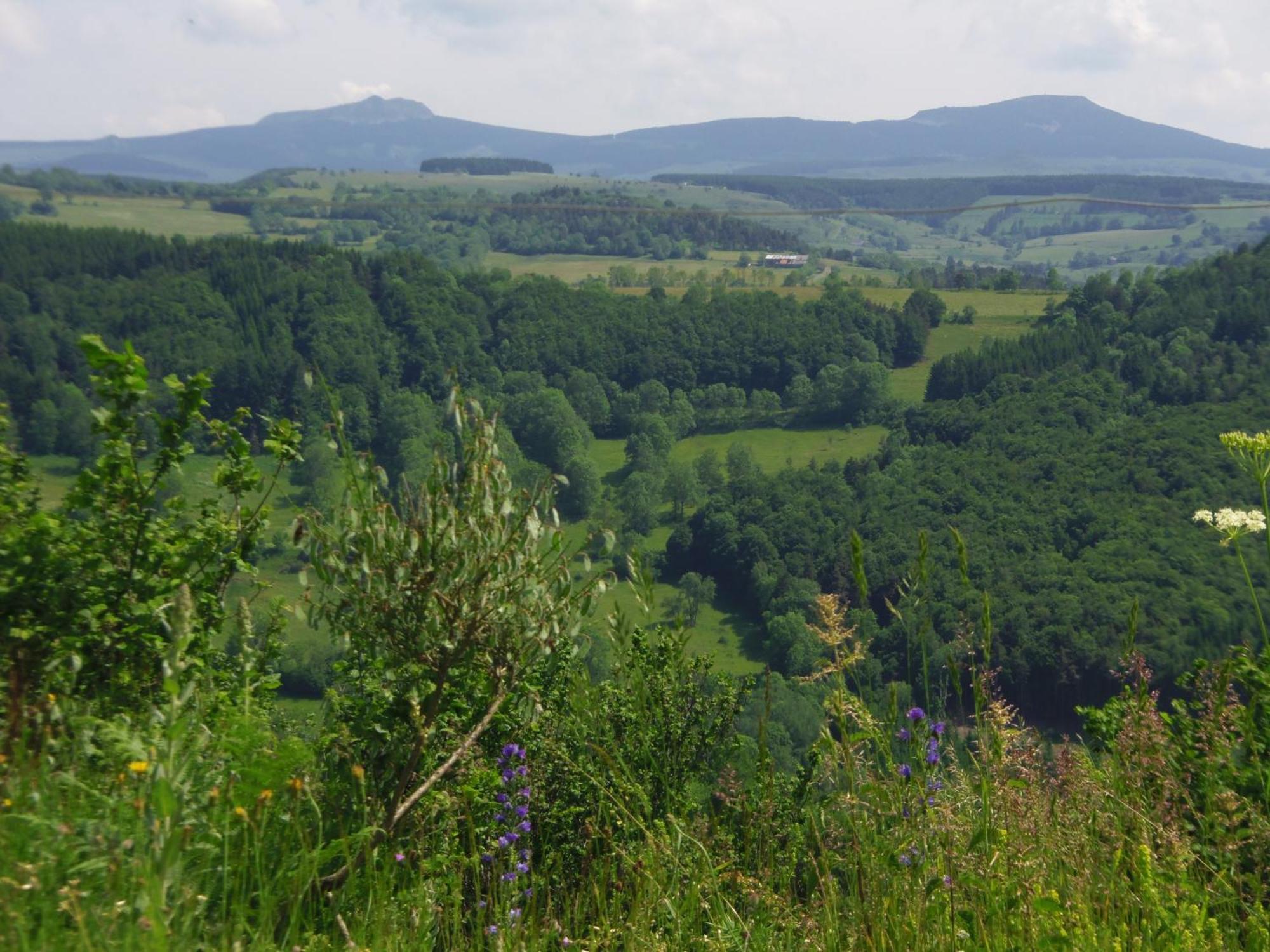 Espace Nature Sabatoux Montusclat Oda fotoğraf